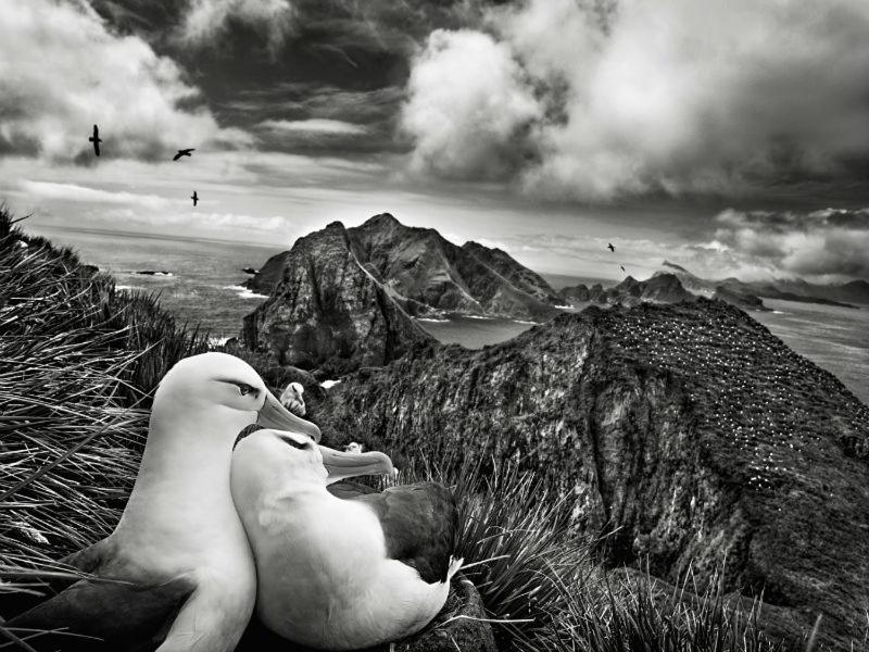 Les Mouettes Amoureuses Villa Louannec Ngoại thất bức ảnh